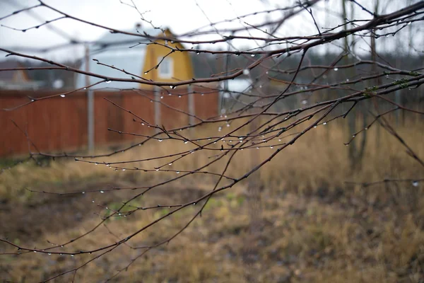 Otoño en el campo — Foto de Stock