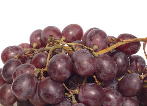 Rote Trauben isoliert aus nächster Nähe — Stockfoto