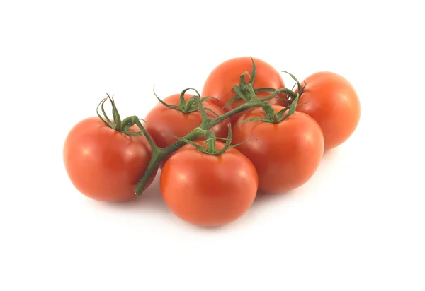 Ветка с спелыми помидорами крупным планом — стоковое фото