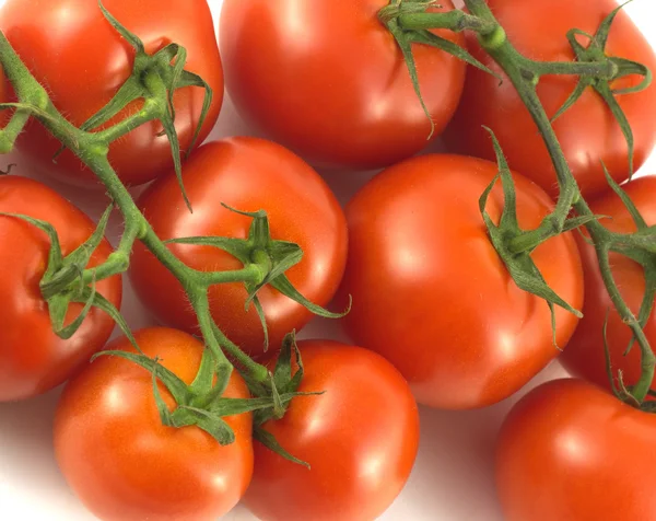 Ripe tomatoes isolated closeup — Stock Photo, Image