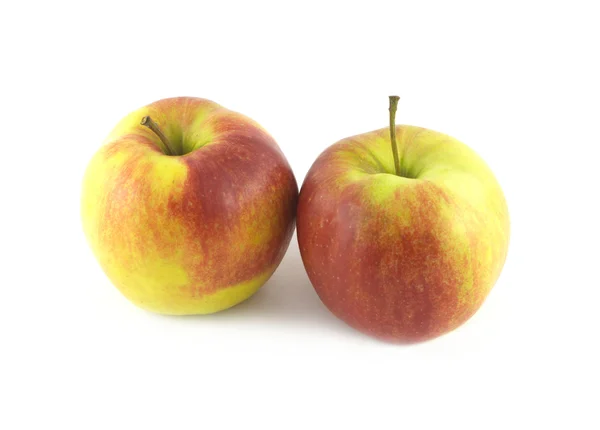Яблука ізольовані на білому крупним планом — стокове фото