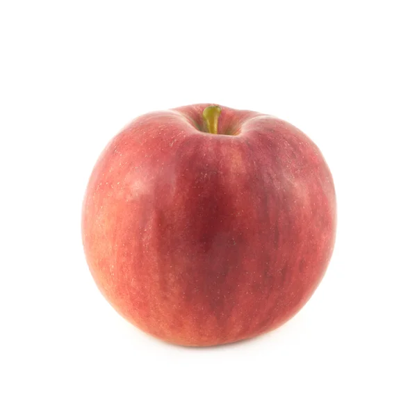 Ripe red apple isolated closeup — Stock Photo, Image