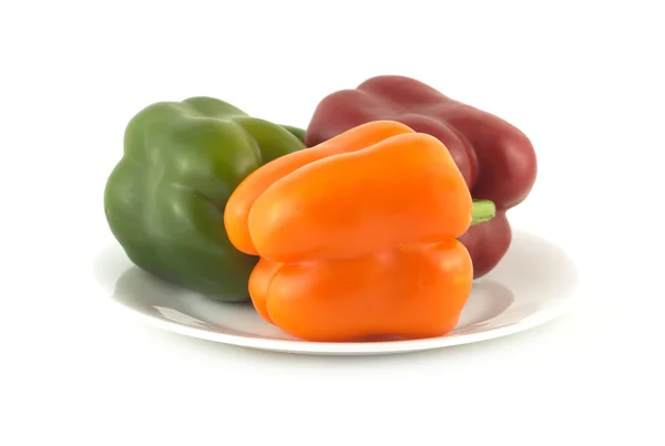 Color peppers on plate isolated close up — Stock Photo, Image