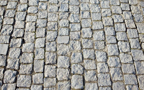 Gray cobblestone street close up — Stock Photo, Image