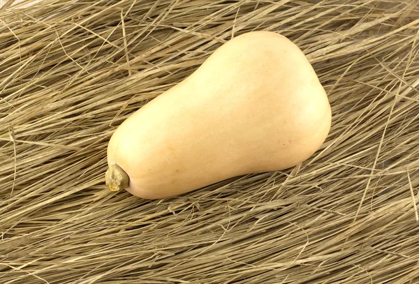Pumpkin lying on dry hay — Stock Photo, Image