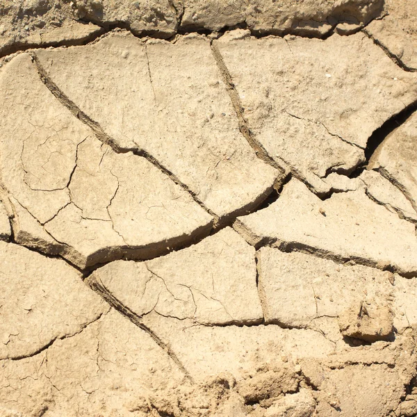 Terra rachada seca em um dia quente de verão close-up — Fotografia de Stock