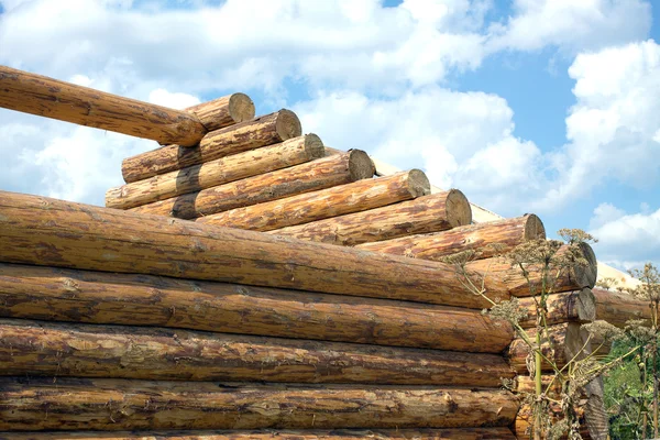 Costruzione di case in legno da tronchi primo piano — Foto Stock