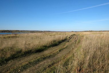 Sonbaharın erken saatlerinde, temiz mavi gökyüzünün altında nehir kenarındaki tarlalardan ormana uzanan kırsal arazinin güzelliği.