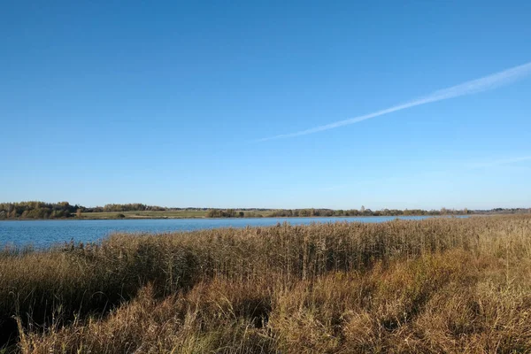 美丽的乡村风景 湖滨附近有秋天的田野 清澈无云的天空下 密林交错 地平线相望 — 图库照片