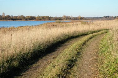 Sonbaharın erken saatlerinde, temiz mavi gökyüzünün altında nehir kenarındaki tarlalardan ormana uzanan kırsal arazinin güzelliği.