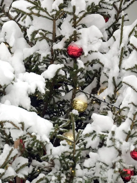 雪に覆われたクリスマスツリークリスマスボールとライトフロントビューを閉じる — ストック写真