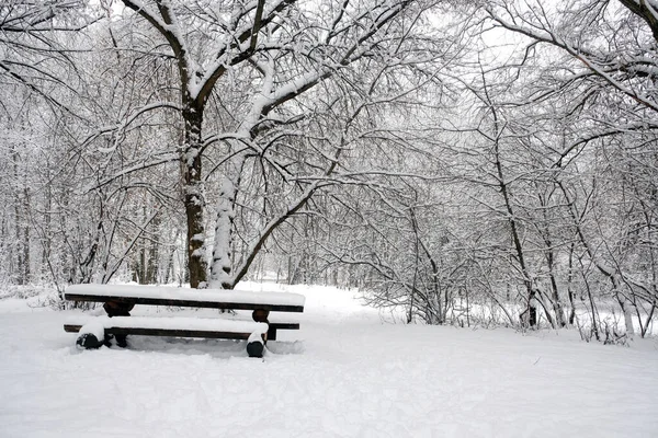 Rastplatz Verschneiten Wald Mit Vielen Bäumen Mit Ästen Schnee Einem — Stockfoto