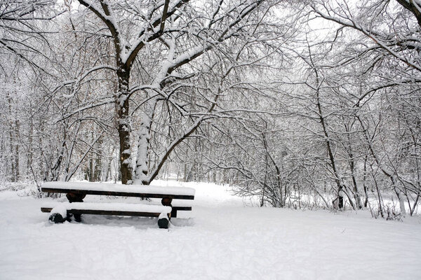 Rest place in the snowy forest with many trees with branches in snow around in overcast winter day