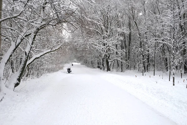 Όμορφο Τοπίο Μια Ευθεία Χιόνι Καλύπτονται Διαδρομή Πηγαίνει Στην Προοπτική — Φωτογραφία Αρχείου