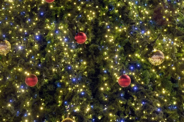 Christmas Trees Many Colorful Balls Background Front View Close — Stockfoto