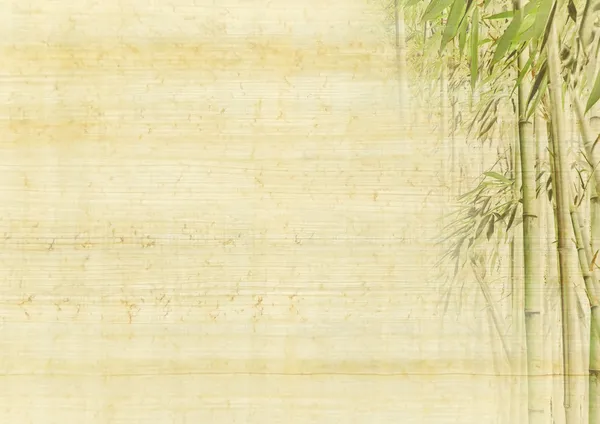 Bamboo background — Stock Photo, Image