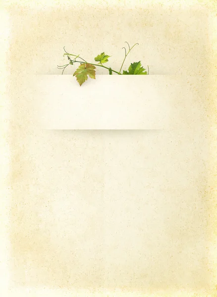 şarap listesi menüsü