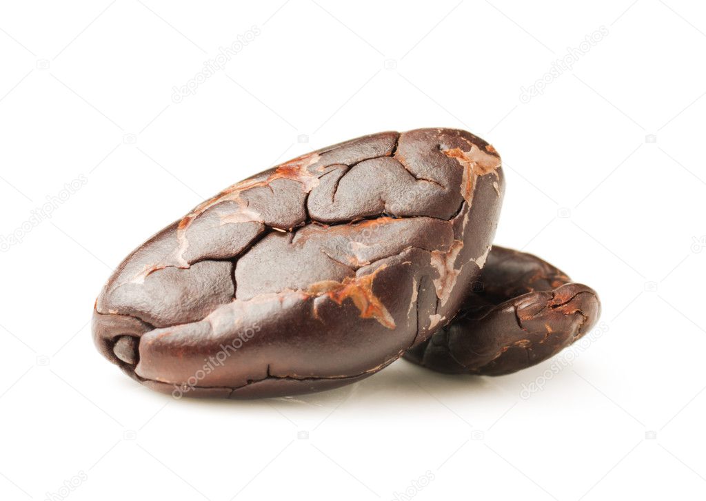 Cocoa beans closeup