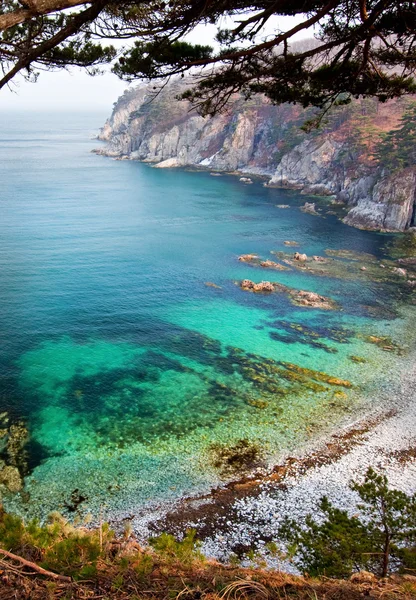 Deniz bay, peyzaj, Rusya Federasyonu — Stok fotoğraf