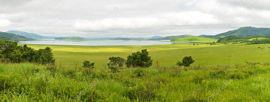 Meadow and callow landscape