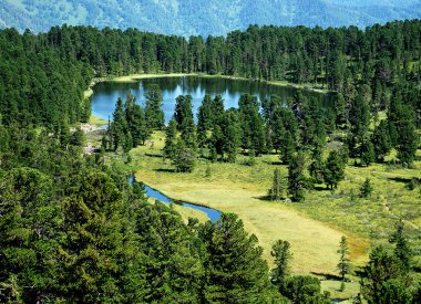 Wild landscape, forest lake Karacol, Altai, Russia clipart