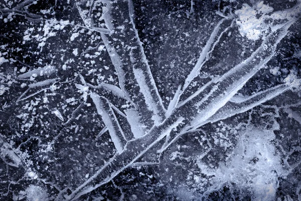 Textura de gelo — Fotografia de Stock