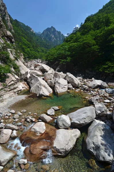 Rio de floresta em Coréia do Sul — Fotografia de Stock