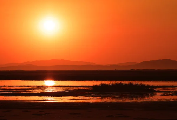 Coucher de soleil sur le marais — Photo