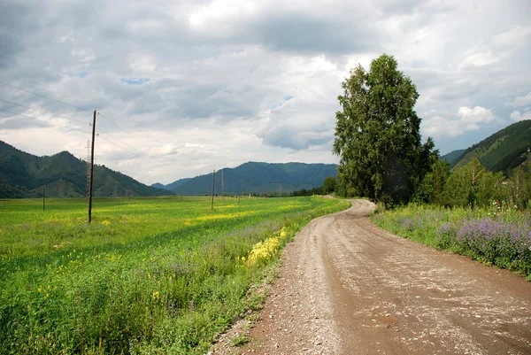 Country road, meadows — Stock Photo, Image
