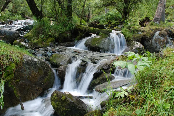 Wasserfall, Gebirgsfluss — Stockfoto