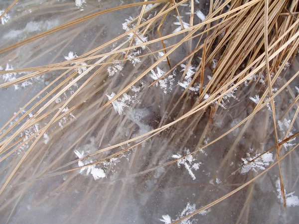 Textura de hielo —  Fotos de Stock