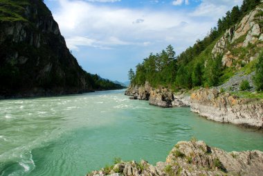 Mountain river Katun, Altai, Russia clipart