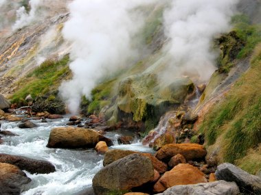 vadi geysers, Kamçatka, Rusya