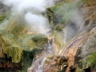 vadi geysers, Kamçatka, Rusya