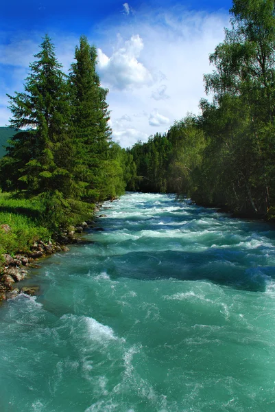 Río de montaña Kucherla 2 — Foto de Stock