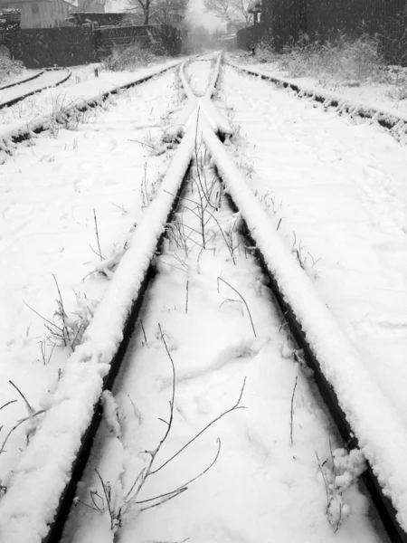 Снежные рельсы — стоковое фото