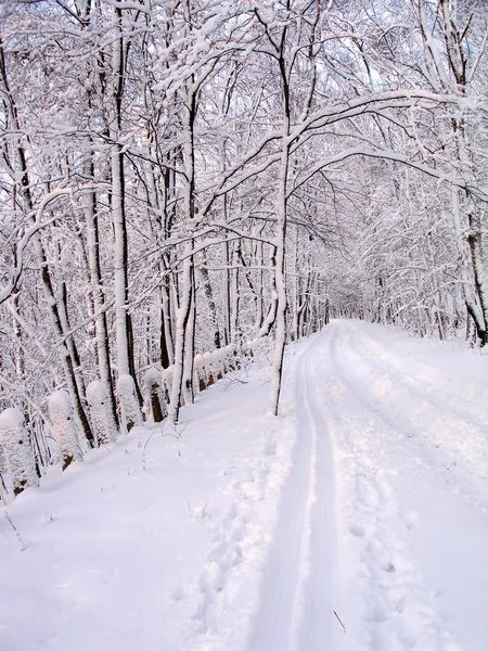 Besneeuwde weg — Stockfoto