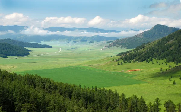 Spring cornfield amidst mountains — Stock Image Spring cornfield amidst mountains Stock Photo