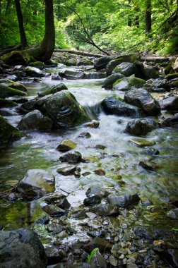 Orman Nehri, Primorye, Rusya Federasyonu