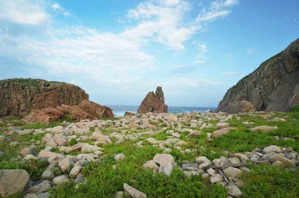 Stone beach of Pacific ocean — Stock Photo, Image