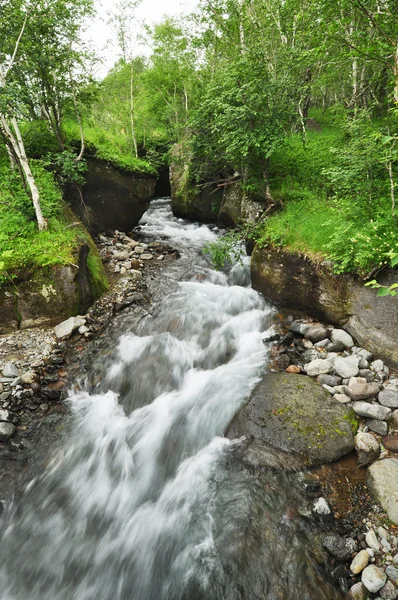 Лесная река, Чанбайшань, Китай — стоковое фото