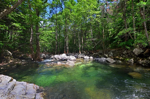 Waldfluss, grünes Wasser — Stockfoto