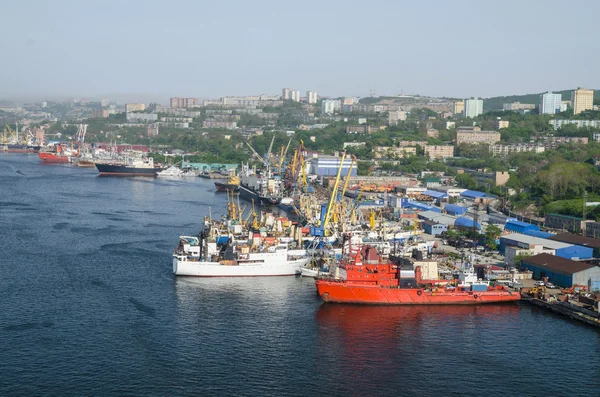 港口符拉迪沃斯托克，货柜码头，俄罗斯的全景 — 图库照片
