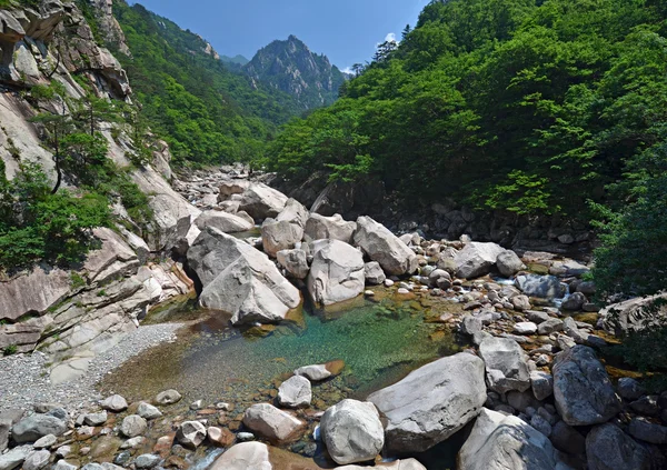 在 seoraksan，韩国森林河 — 图库照片