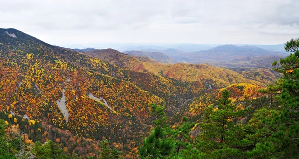 Горный пейзаж, осень, панорама — стоковое фото
