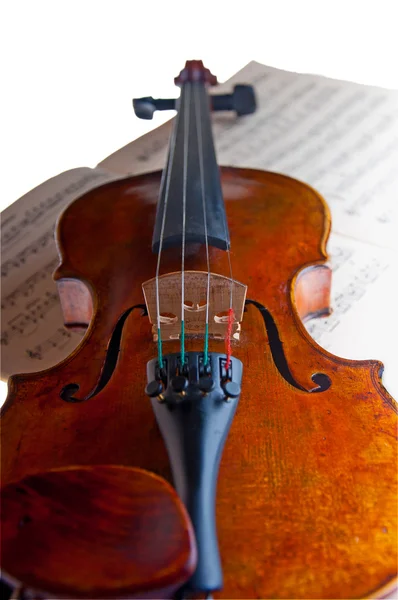 Violino — Foto Stock