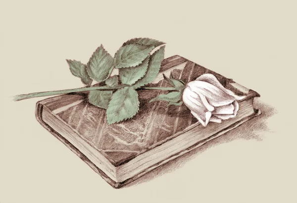 Rose en boek — Stockfoto