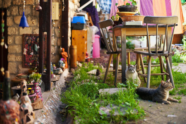 Сельский шарм
