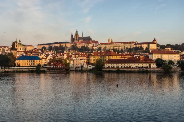 Château de Prague avec la cathédrale Saint-Vitus — Photo