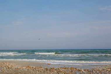 Açık bir yaz gününde, dalgalı deniz manzarası ve suyun üzerinde uçan bir martı.